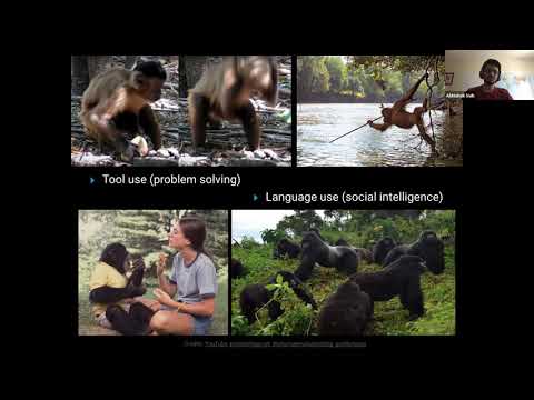 Vignette de la vidéo YouTube de SytkiBSwoX